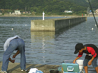 K-oohato15.jpg