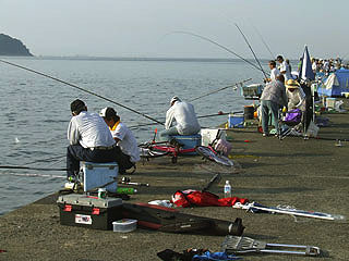 K-oohato18.jpg
