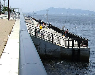 Pkuko11.jpg