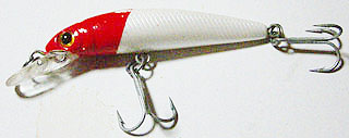 ajinng19.jpg
