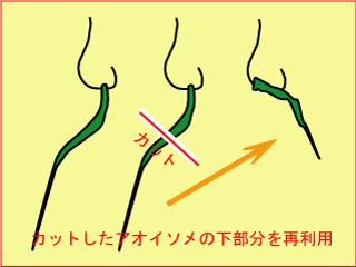 aoisome.gif