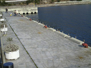 awaji-tubasakou-346.jpg