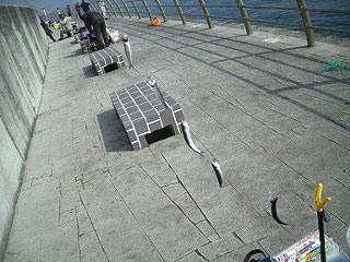 awaji-tubasakou-358.jpg