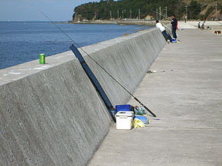 fuke-sinbato11.jpg