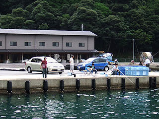 hibiki5.jpg