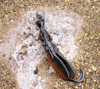 hira-bugants1.jpg