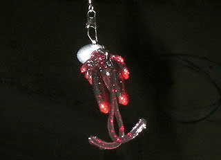 hira2009-13.jpg