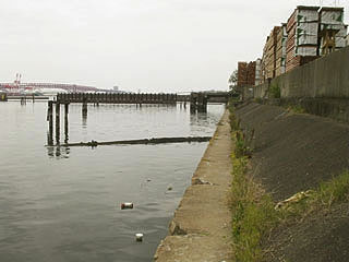 hira2009-20.jpg