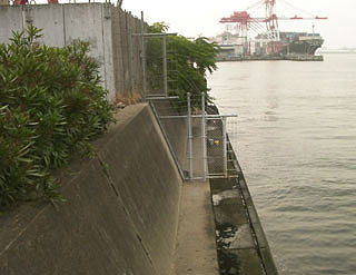 hira2009-3.jpg