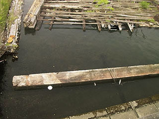 hira2009-5.jpg