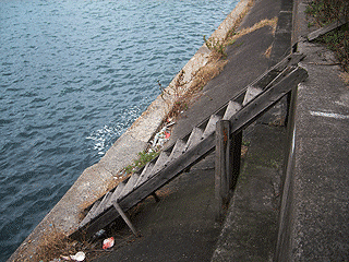 hirabayasiS4.gif