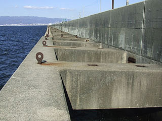 hokko2010-15.jpg
