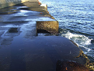 hokko2010-9.jpg
