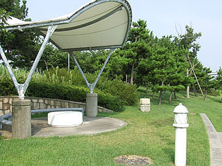 hokkou40.jpg