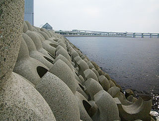 izumisanoFS14.jpg