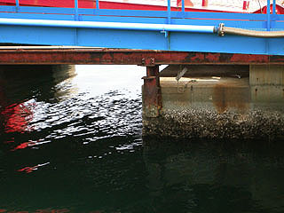 izumisanoFS29.jpg