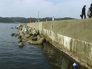 kada-giyokou11.jpg