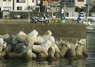 kada-giyokou18.jpg