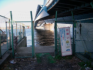 kamome11.jpg