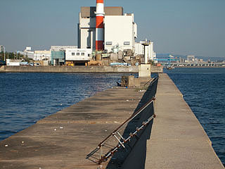 kamome18.jpg