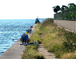 kamome19.jpg