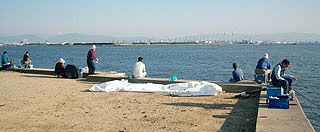 kamome21.jpg
