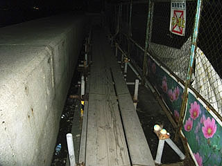 kamome3.jpg