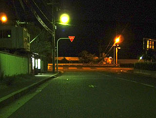 kamome4.jpg