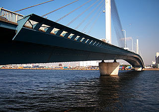 kamome4.jpg