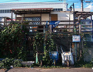 kamome5.jpg