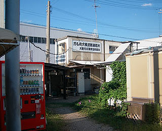 kamome8.jpg