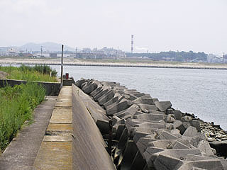 kinokawakakou10.jpg