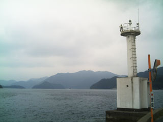 md9.jpg