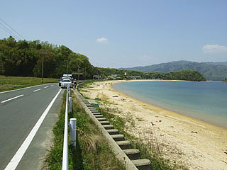 miyaazu-tai-10.jpg