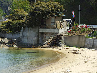 miyaazu-tai-11.jpg