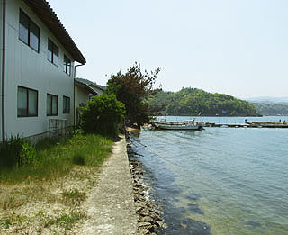 miyaazu-tai-15.jpg