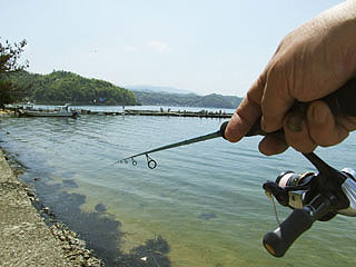 miyaazu-tai-23.jpg