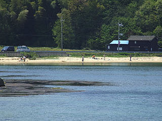 miyaazu-tai-8.jpg