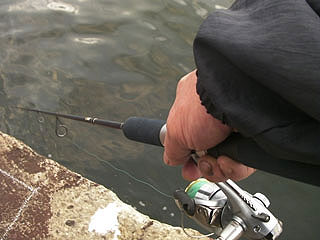 namihaya2009-9.jpg