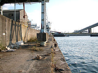 namihaya21.jpg