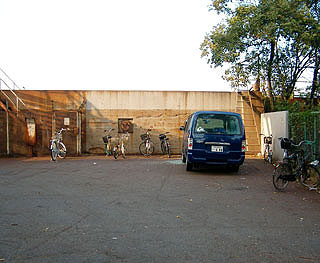 namihaya31.jpg