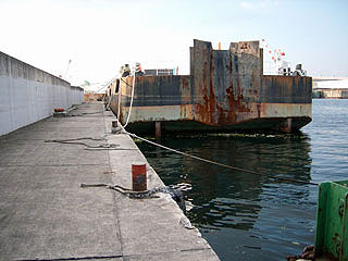 namihaya34.jpg