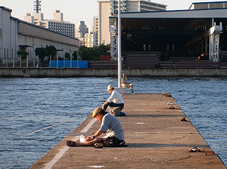 nankoubrige10.jpg