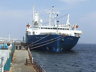 nankouuoturi21.jpg