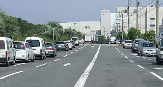 nankouuoturi25.jpg