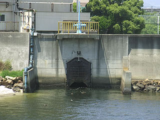 naruogawakakou8.jpg
