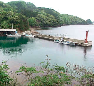 naruoi-503-19.jpg
