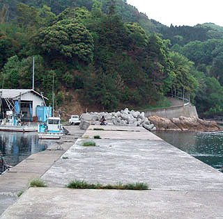 naruoi-503-5.jpg