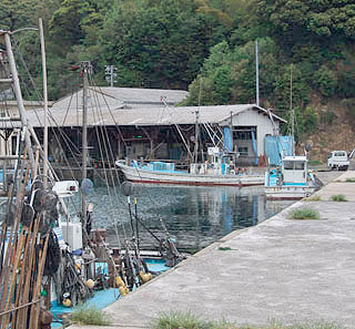 naruoi-503-7.jpg