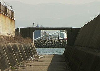 negiyo-senbokuA24.jpg